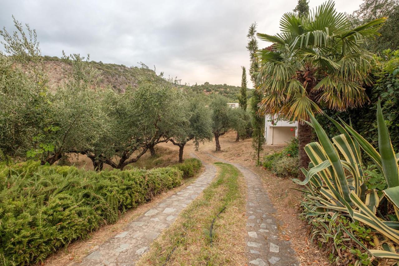 Panagea Holiday Apartments Kitriaí Dış mekan fotoğraf