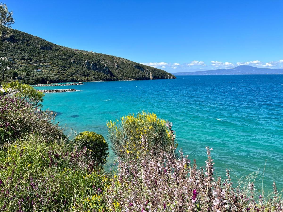 Panagea Holiday Apartments Kitriaí Dış mekan fotoğraf