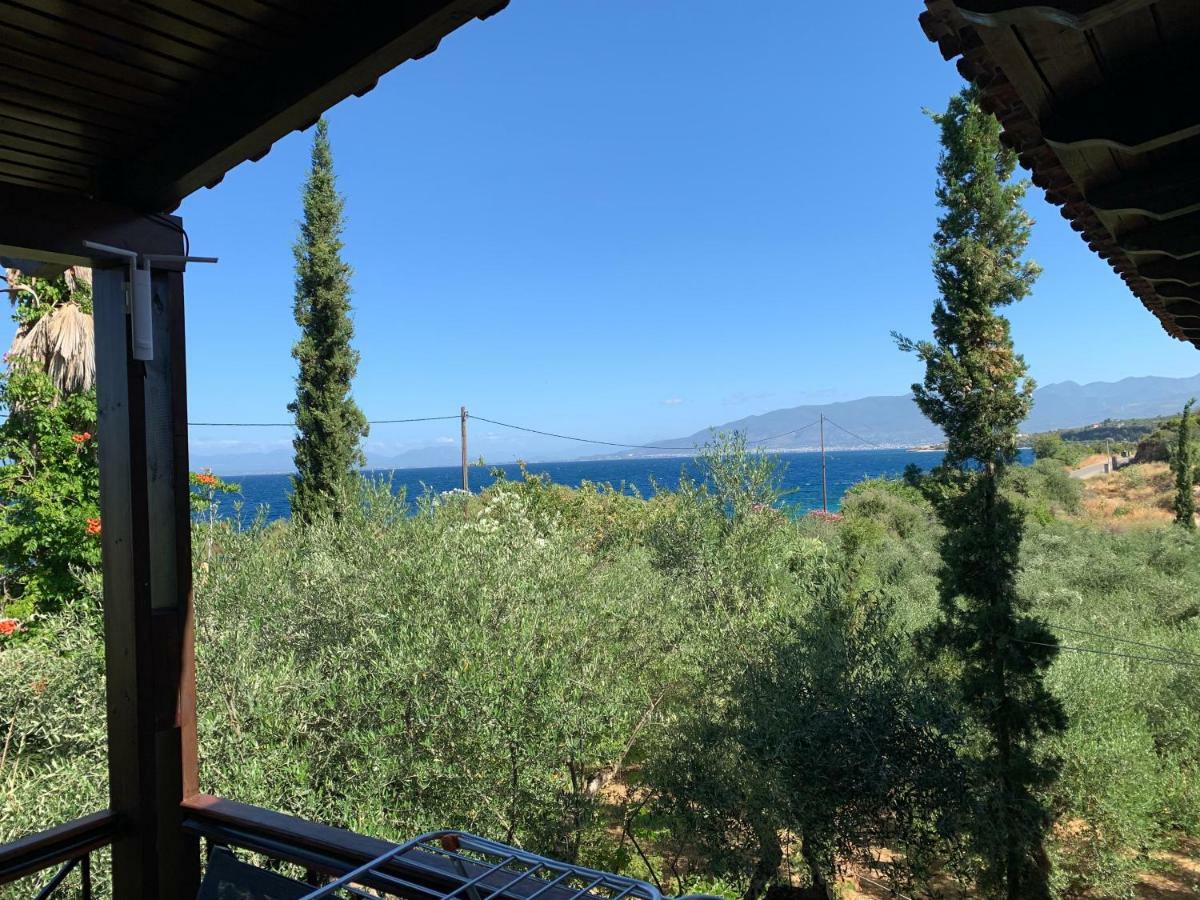 Panagea Holiday Apartments Kitriaí Dış mekan fotoğraf